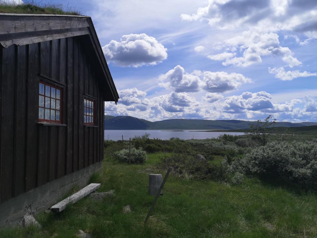 Hôtel Haugseter Fjellstue As à Beitostolen Extérieur photo
